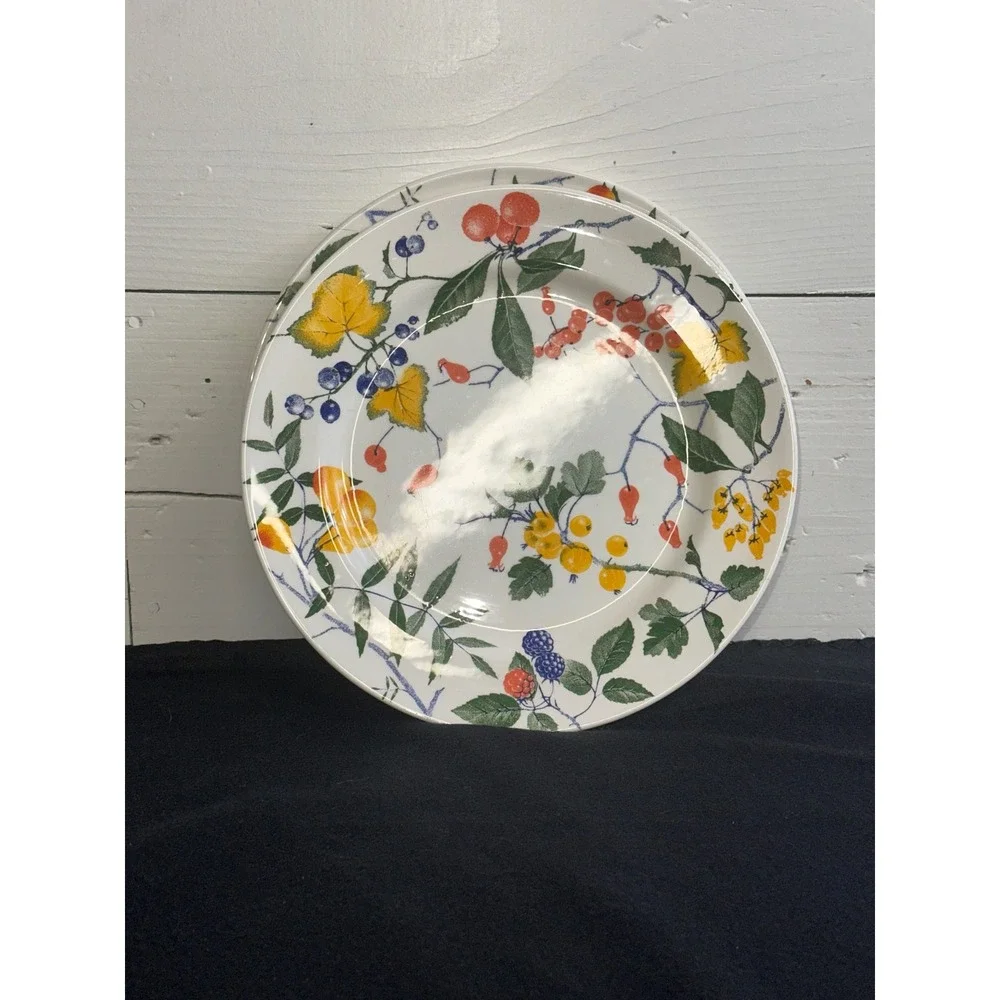 Crate & Barrel Italy Berry Botanical Dinner Plates Set of 2 White Ceramic 10.75